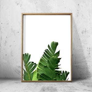 Set of 4 Tropical Leaves, Leaf Prints set, Green Wall art, Minimalist Posters, Palm Leaf Banana Leaf Tropical Wall art Nordic Nature Prints image 4