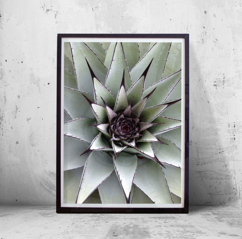 Cactus Print Cactus Wall art Green Wall art Minimalist Etsy