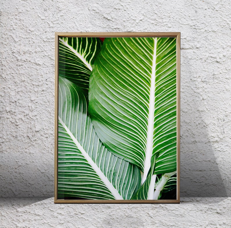 Palm Leaves Photograph Tropical Foliage Boho Home Decor | Etsy