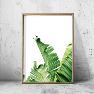 Set of 4 Tropical Leaves, Leaf Prints set, Green Wall art, Minimalist Posters, Palm Leaf Banana Leaf Tropical Wall art Nordic Nature Prints image 2