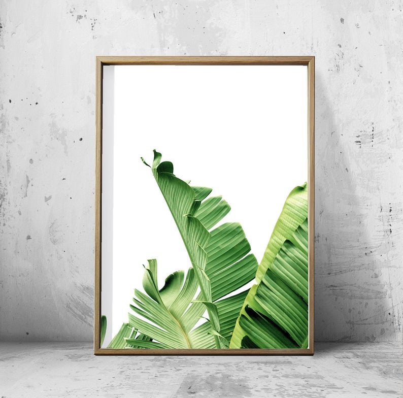 Set of 4 Tropical Leaves, Leaf Prints set, Green Wall art, Minimalist Posters, Palm Leaf Banana Leaf Tropical Wall art Nordic Nature Prints image 2