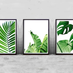 Botanical Prints Set Tropical Decor Green Wall art Minimalist Poster Scandinavian Modern Nordic Prints Set of 3 Nature Leaf Prints Monstera