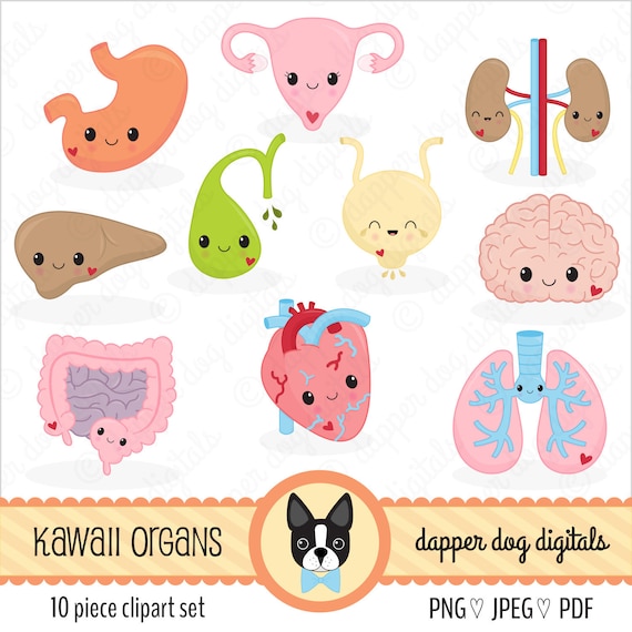 Kawaii Organs Clipart Pack Commercial Use Vector Images Etsy