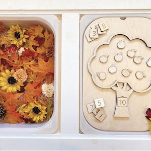 May include: A sensory bin set featuring a white plastic container filled with artificial autumn leaves, yellow sunflowers, and pinecones, alongside a wooden board shaped like a tree with ten apple cutouts and separate wooden number tiles.