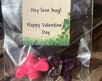 Bug Valentines // Butterfly Valentines // Butterfly Crayons // Bug Crayons // Classroom Valentine // Valentine Cards // Custom Valentines