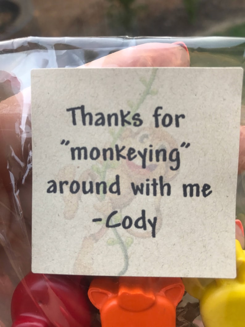 Puede incluir: Una etiqueta cuadrada, de color marr&oacute;n claro, con texto negro que dice: "Gracias por 'hacer el mono' conmigo -Cody". La etiqueta se sostiene en una bolsa de pl&aacute;stico transparente. La parte inferior de la imagen muestra formas de animales de pl&aacute;stico de colores.