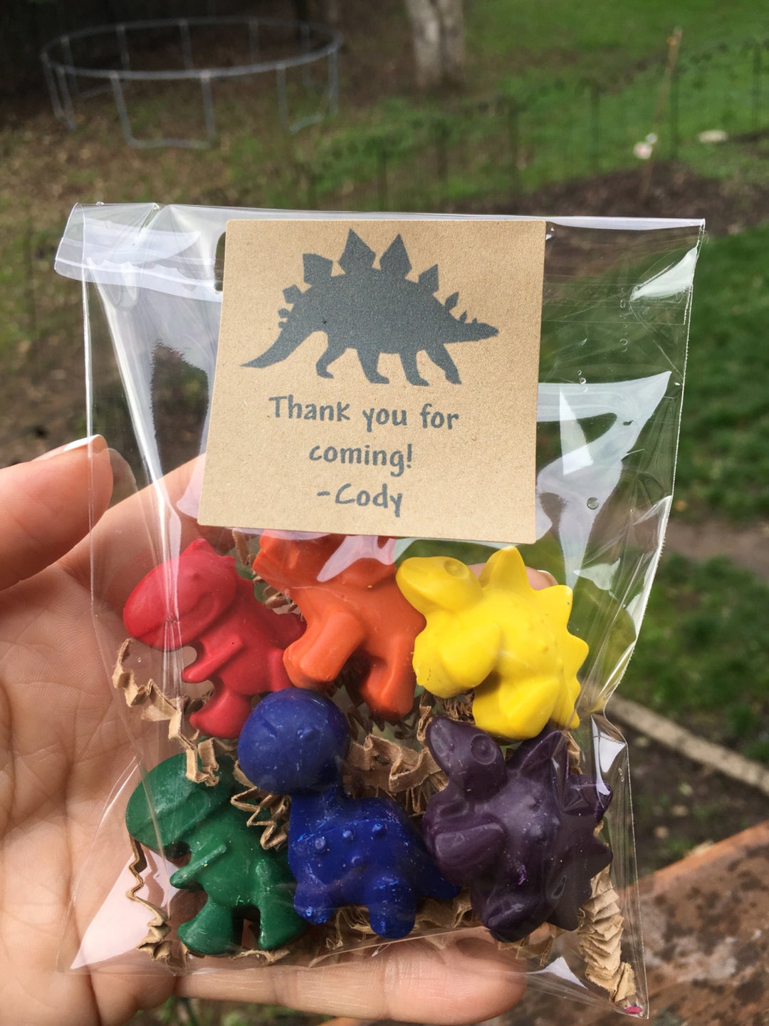 DIY dinosaur party favors! Love that these not only served as cute