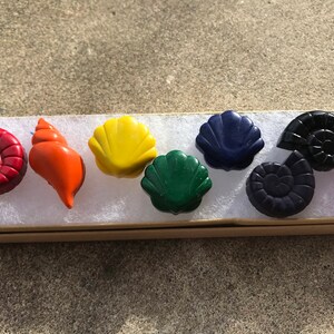Könnte beinhalten: Ein Set mit neun bunten Muschel-förmigen Buntstiften in einer weißen Schachtel. Die Stifte sind in einer Reihe angeordnet und umfassen Rot, Orange, Gelb, Grün, Blau, Lila, Schwarz und Pink.