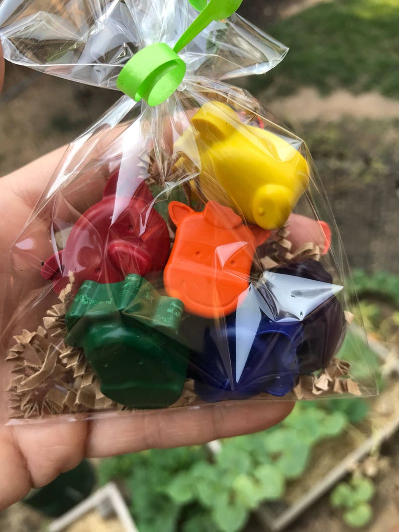 Zoo PARTY FAVORS // Zoo Birthday Party // Zoo Crayons // Etsy