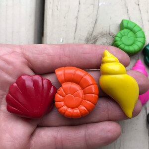 Könnte beinhalten: Ein Set bunter Muschel-förmiger Malkreiden. Die Kreiden sind in den Farben Rot, Orange, Gelb, Grün, Blau und Schwarz. Die Kreiden sind in einer Hand angeordnet.