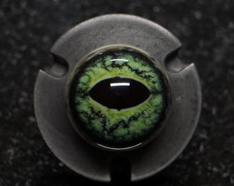 Green Frog - Realistic Resin Frog Eyeball – Fake Acrylic Eyes for Sculpture, Dolls, Displays, Film, Special FX, and Jewelry