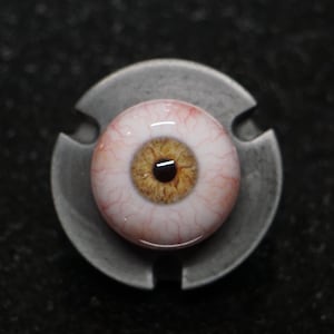 Hazel Eye, Human Eyes, Fake Eyes, Acrylic Eyes, Doll Eyes, Eye Balls, Realistic Eye, Baby Eyes, Eye Jewelry