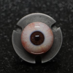 Premium Brown Resin Eye, Acrylic Doll Eye, Brown Eye Ball, Realistic Eye, Doll Eyes, Eye Balls