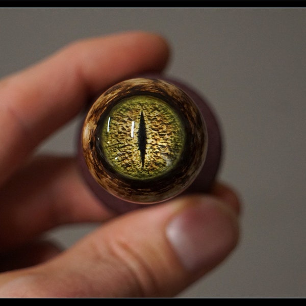 Yeux de crocodile, yeux d’animaux, yeux de taxidermie, reptile, lézard, faux yeux, yeux de poupée, boules oculaires