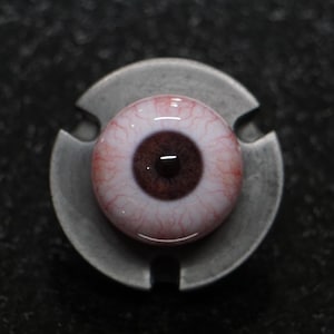 Camera Ready Brown Resin Eye, Acrylic Doll Eye, Brown Eye Ball, Realistic Eye, Doll Eyes, Eye Balls, Eye Jewelry