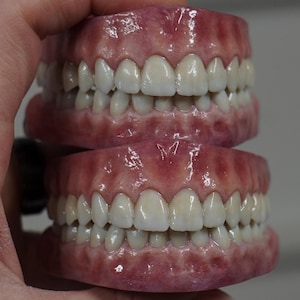 May include: A pair of upper and lower dentures with a pink gum base and a full set of white teeth. The dentures are held in a hand, showcasing the detailed craftsmanship and realistic appearance of the dental prosthetics.