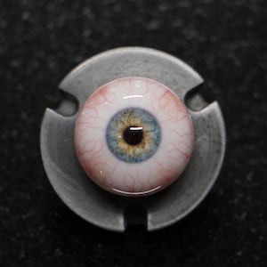 Coastal Eye, Human Eyes, Fake Eyes, Acrylic Eyes, Doll Eyes, Eye Balls, Realistic Eye, Baby Eyes, Eye Jewelry