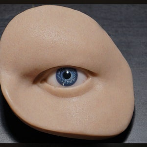 Un-Painted Silicone Orbital Eye Display, Acrylic Eyes, Silicone Bust