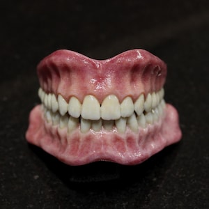 Pearly Whites - Realistic Resin Denture Set – Fake Acrylic Teeth for Sculpture, Dolls, Displays, Film, Special FX, and Jewelry