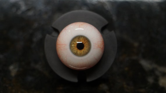 Hazel Eye, Human Eyes, Fake Eyes, Acrylic Eyes, Doll Eyes, Eye Balls,  Realistic Eye, Baby Eyes, Eye Jewelry