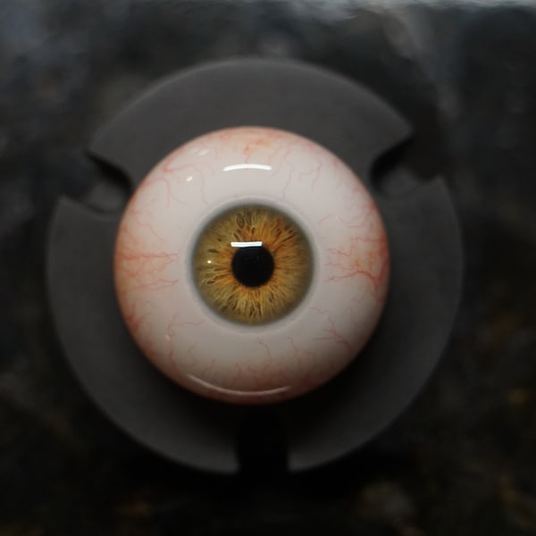 Hazel Eye, Human Eyes, Fake Eyes, Acrylic Eyes, Doll Eyes, Eye Balls, Realistic Eye, Baby Eyes, Eye Jewelry