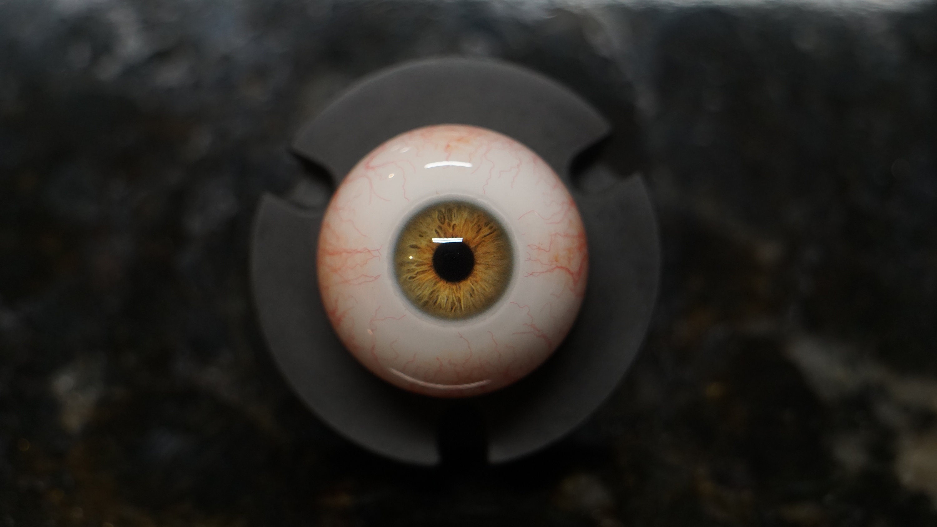 Dream Weaver Eye, Galaxy, Solar System, Eyes, Eye, Dream, Nightmare, Eye  Ball, Fake Eyes, Resin Eyes, Acrylic Eyes, Doll Eyes, BJD