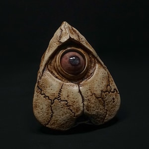 May include: A sculpted, eye-shaped object with a detailed, realistic eye. The eye is a deep reddish-brown color, set within a bone-colored, textured casing. The casing has a cracked, aged appearance, suggesting a fossil or relic.