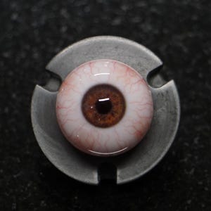 Brown Eye, Human Eyes, Fake Eyes, Acrylic Eyes, Doll Eyes, Eye Balls, Realistic Eye, Baby Eyes, Eye Jewelry