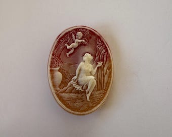 vintage celluloid cameo style brooch