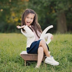 6 Sign Photo Prop for Sixth Birthday Photo Shoot for Kids - Wooden Number Sixth Sign Photographer, Number 6 Six Sign NUM006 X