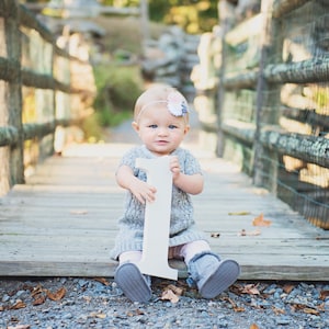 1 Schild Fotorequisite zum 1. Geburtstag Fotoshooting für Babys und Kinder - Holznummer Schild Fotograf, Nummernschild NUM001 X