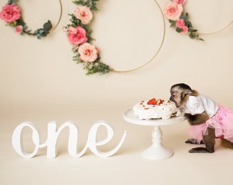 Ein Zeichen Erster Geburtstag Foto Requisite Holzschild für Cake Smash One Letters Holz Ein Zeichen Erster Geburtstag Ein Photo Prop Buchstabe (Artikel - ONS219)