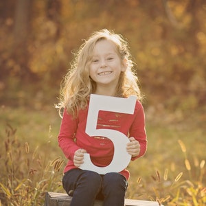 5 Sign Photo Prop for Fifth Birthday Photo Shoot for Kids - Wooden Number Five Sign Photographer, Number 5 Sign NUM005 X