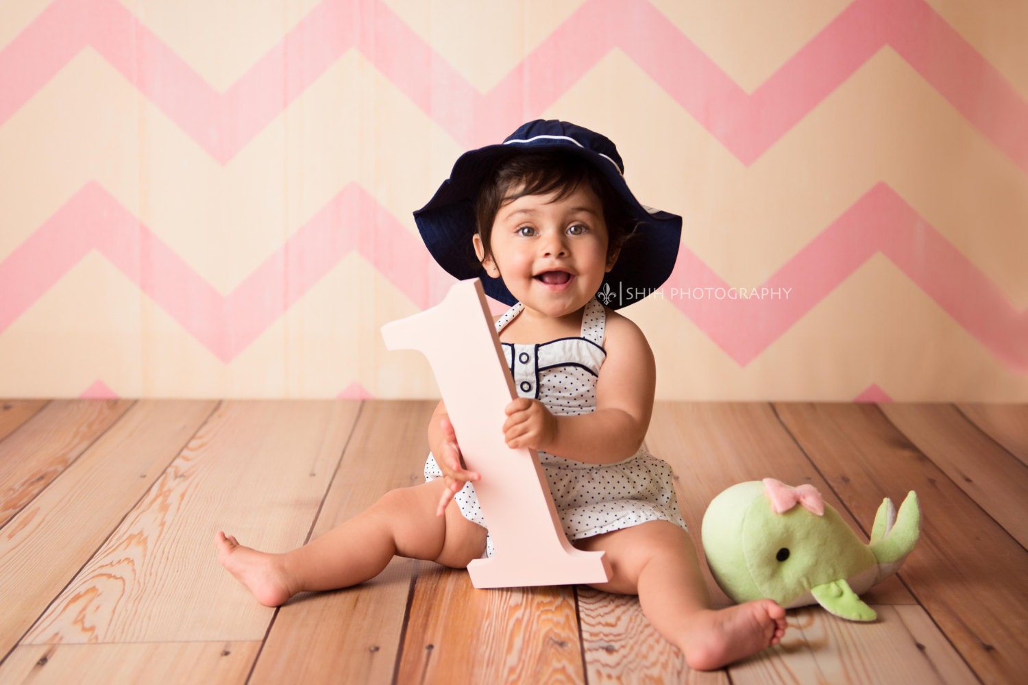 1 Sign Photo Prop for First Birthday Photo Shoot for Babies Etsy