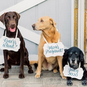 Pet Signs for Pregnancy Announcement, Dog Signs Photo Props Maternity Photo Sign Pregnancy Sign, Mommy to Be Dog Pet Baby Announcement image 1