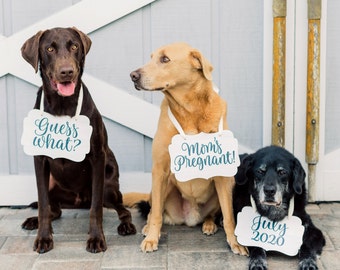 Pet Signs for Pregnancy Announcement, Dog Signs Photo Props Maternity Photo Sign Pregnancy Sign, Mommy to Be Dog Pet Baby Announcement