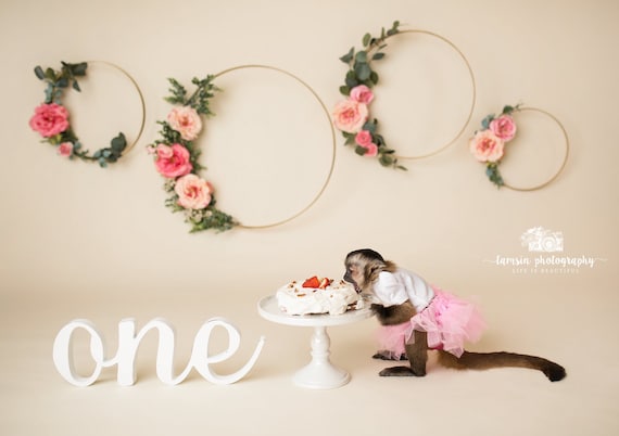 One Sign First Birthday Photo Prop Wooden Sign for Cake Smash One Letters  Wood One Sign First Birthday One Photo Prop Letter item ONS219 