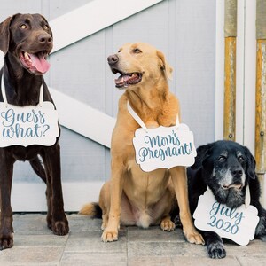 Pet Signs for Pregnancy Announcement, Dog Signs Photo Props Maternity Photo Sign Pregnancy Sign, Mommy to Be Dog Pet Baby Announcement image 2