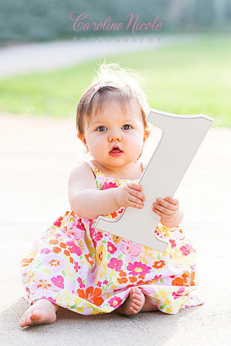 1 Sign Photo Prop for First Birthday Photo Shoot for