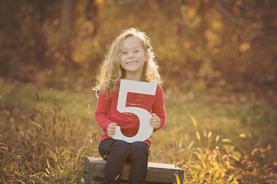 5 Sign Photo Prop for Fifth Birthday Photo Shoot for Kids - Wooden Number Five Sign Photographer, Number 5 Sign NUM005 X