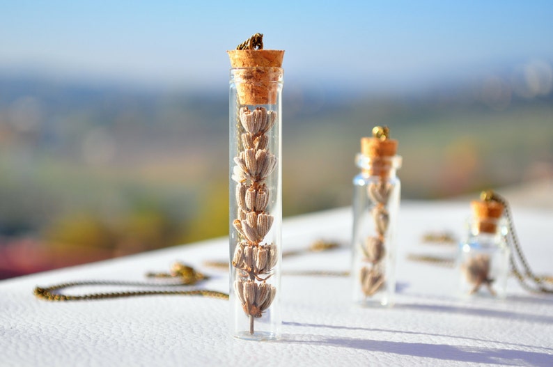 Lavender Necklace bottle pendant Dried lavender pendant Real plant necklace Botanical jewellery Vial pendant