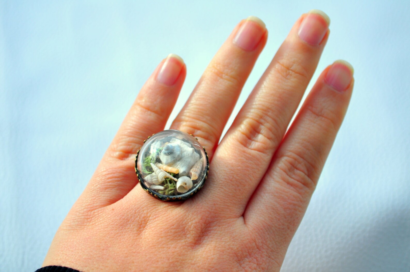 SALE Special Sea ring Real Seashell ring Beach ring Ocean Etsy