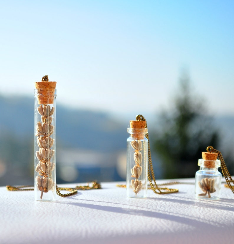 Lavender Necklace bottle pendant Dried lavender pendant Real plant necklace Botanical jewellery Vial pendant