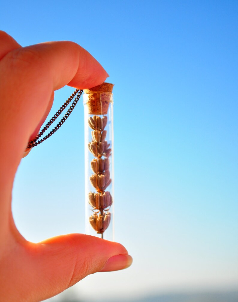 Lavender Necklace bottle pendant Dried lavender pendant Real plant necklace Botanical jewellery Vial pendant