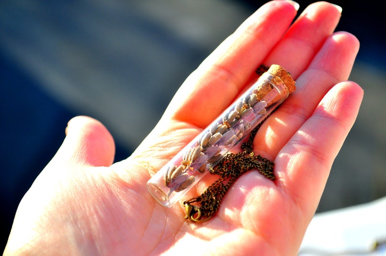 Lavender Necklace bottle pendant Dried lavender pendant Real plant necklace Botanical jewellery Vial pendant