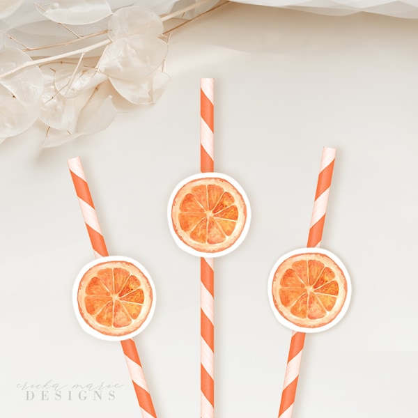Orange Paper Straws Etsy