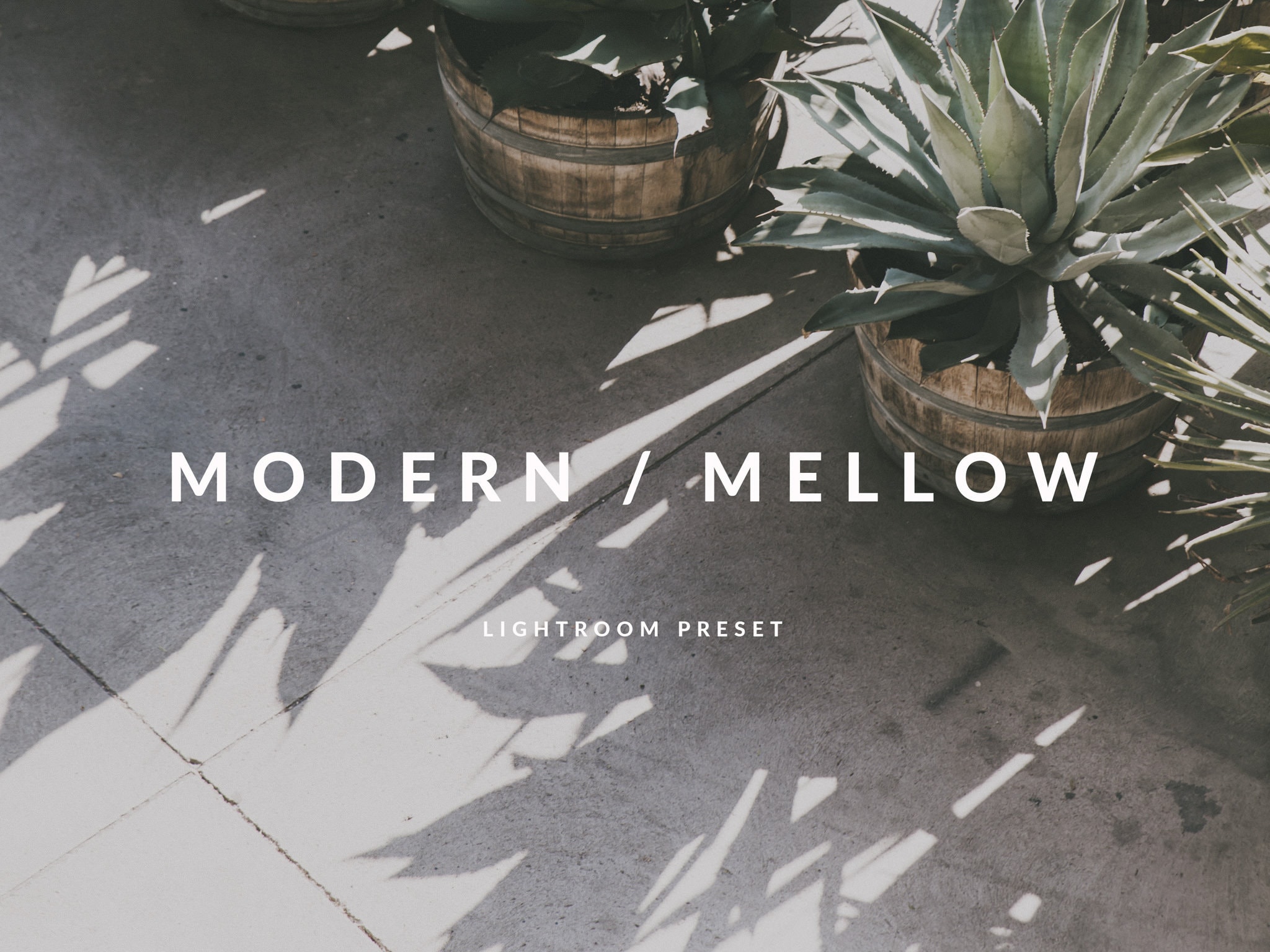 Modern/Mellow Lightroom Preset:A Stylish Matte Filter with A Modern Film Aesthetic for Architecture, Nature, Fashion Photography,