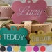 see more listings in the Aluminum Pet Tags section