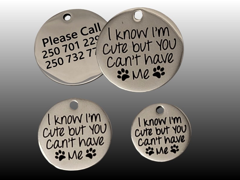 Pet Tags Dog Tags Personalized Pet ID Funny Tag Cat and Dog Pet Collar Charms Engraved Metal Tags Durable Gift for your Pet 3 sizes I KNOW I'M CUTE.....