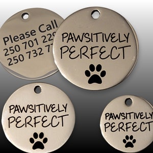 Pet Tags Dog Tags Personalized Pet ID Funny Tag Cat and Dog Pet Collar Charms Engraved Metal Tags Durable Gift for your Pet 3 sizes PAWSITIVELY PERFECT